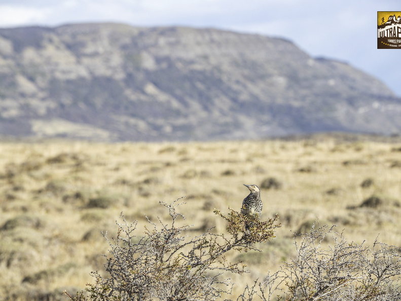 Foto: Christian Miranda