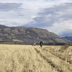 Foto: Christian Miranda