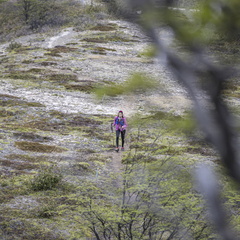 Foto: Christian Miranda