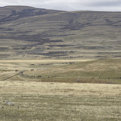 Foto: Christian Miranda