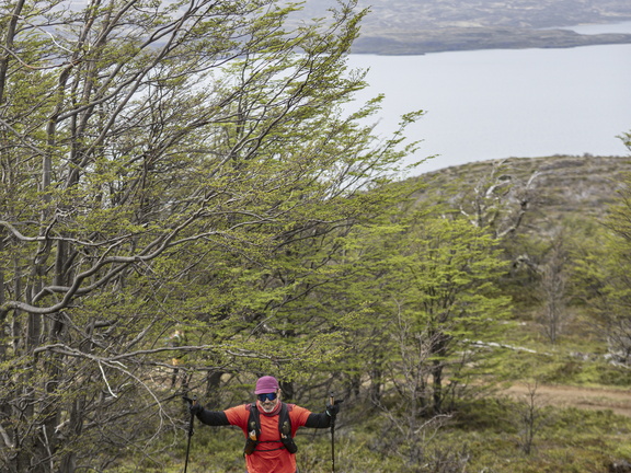 Foto: Christian Miranda