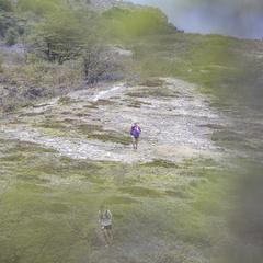 Foto: Christian Miranda