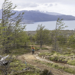 Foto: Christian Miranda