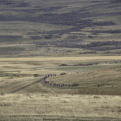 Foto: Christian Miranda