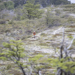 Foto: Christian Miranda