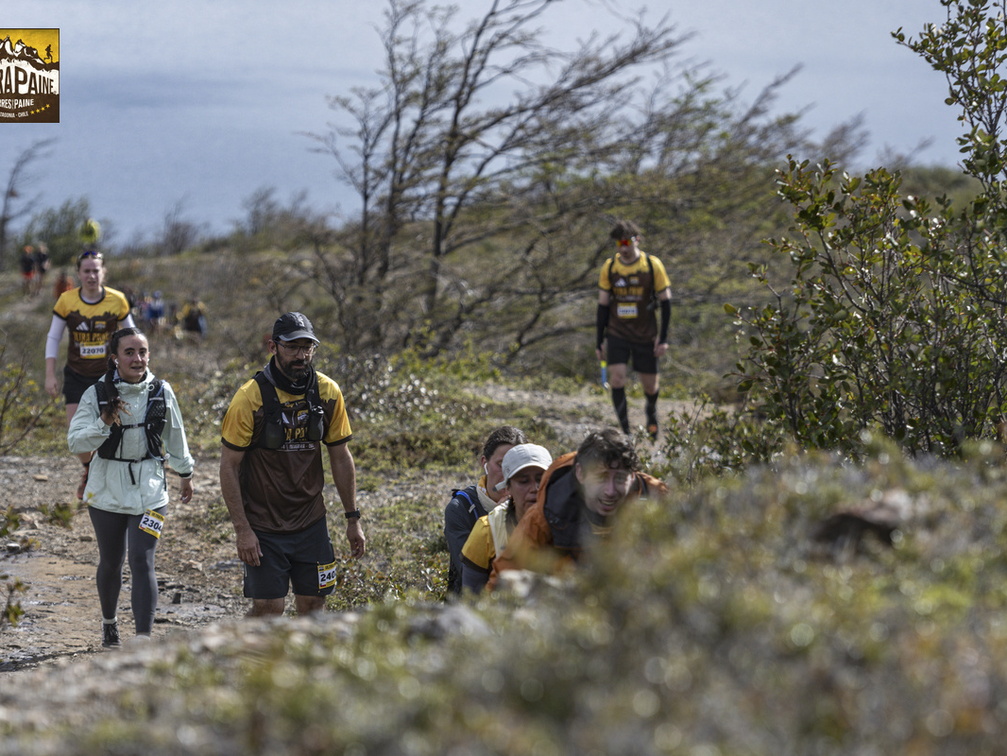 Foto: Guillermo Salgado