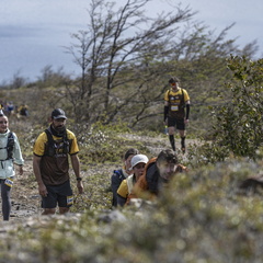 Foto: Guillermo Salgado