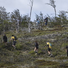 Foto: Guillermo Salgado