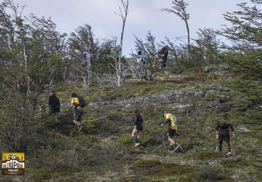 Foto: Guillermo Salgado
