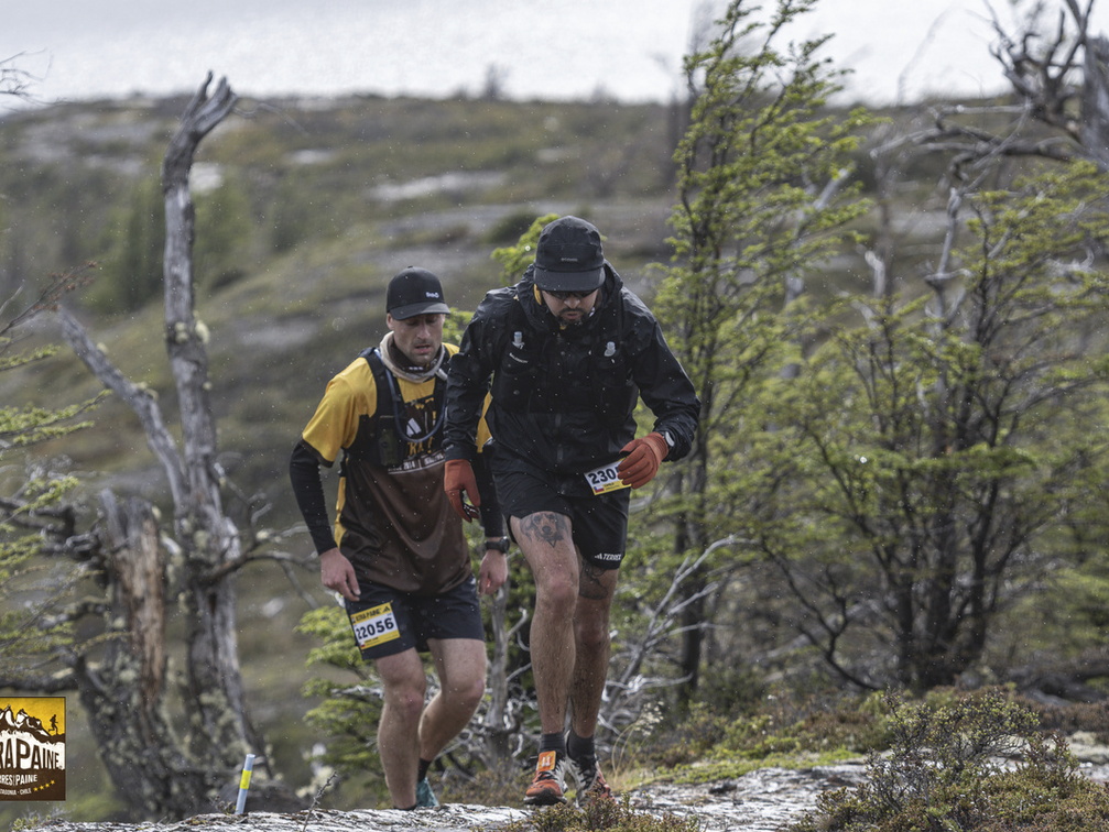 Foto: Guillermo Salgado