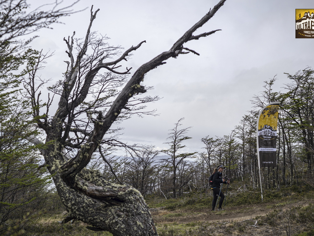 Foto: Guillermo Salgado