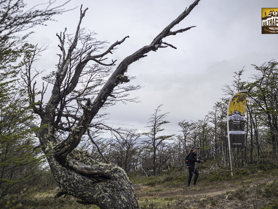 Foto: Guillermo Salgado