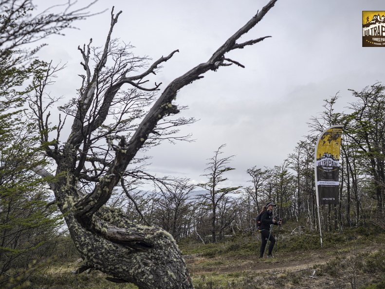 Foto: Guillermo Salgado