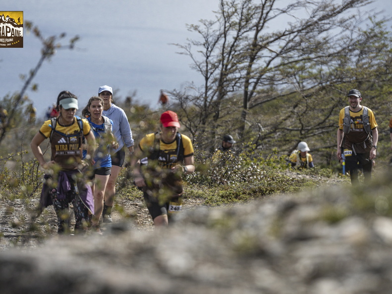 Foto: Guillermo Salgado