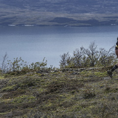 Foto: Guillermo Salgado