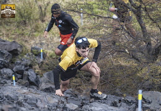 Foto: Guillermo Salgado