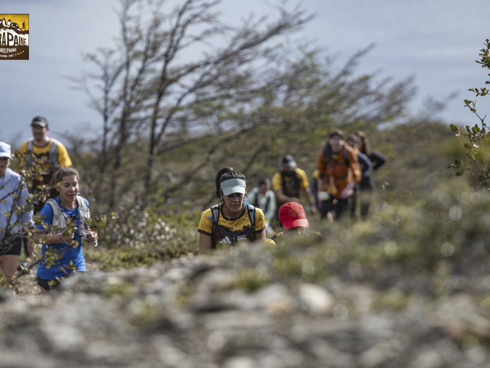 Foto: Guillermo Salgado