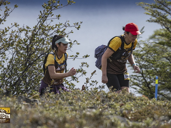 Foto: Guillermo Salgado