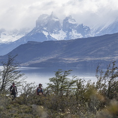 Foto: Guillermo Salgado