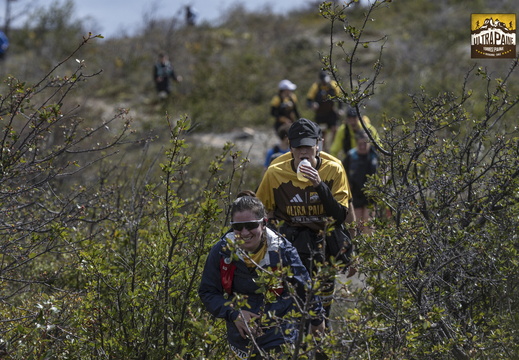 Foto: Guillermo Salgado