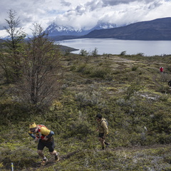 Foto: Guillermo Salgado