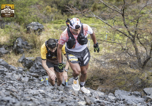 Foto: Guillermo Salgado