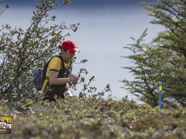 Foto: Guillermo Salgado