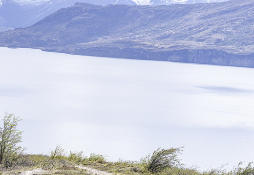 Foto: Javier Aguilar