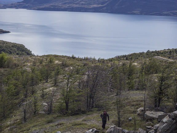 Foto: Javier Aguilar