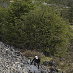 Foto: Javier Aguilar