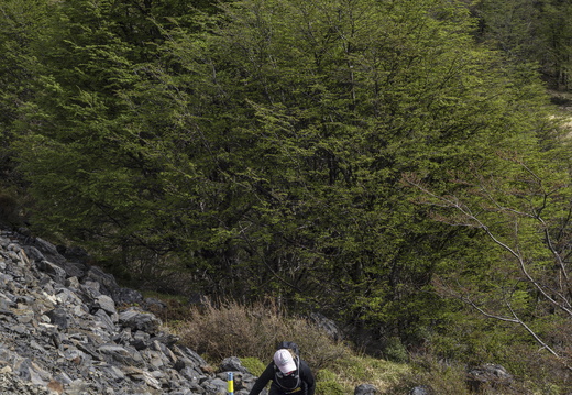 Foto: Javier Aguilar