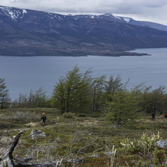 Foto: Patricia Ainol