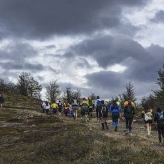 Foto: Patricia Ainol