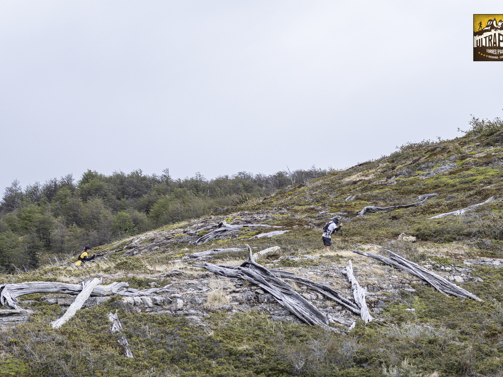 Foto: Patricia Ainol