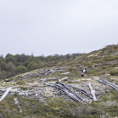 Foto: Patricia Ainol