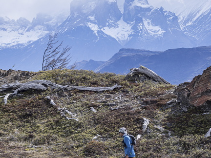 Foto: Patricia Ainol