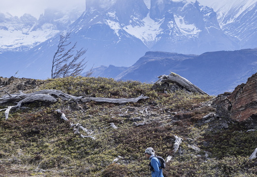 Foto: Patricia Ainol