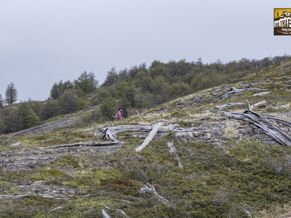 Foto: Patricia Ainol