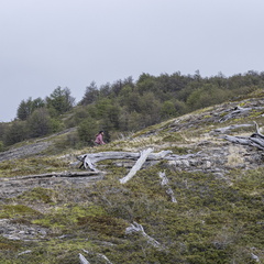 Foto: Patricia Ainol