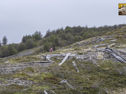 Foto: Patricia Ainol