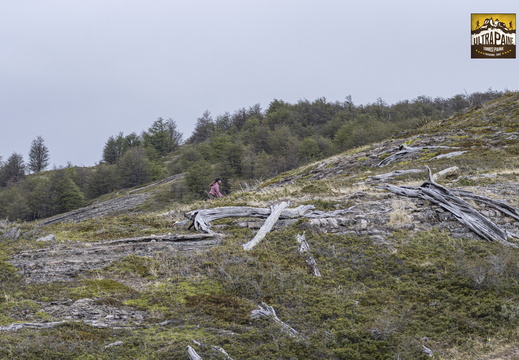 Foto: Patricia Ainol