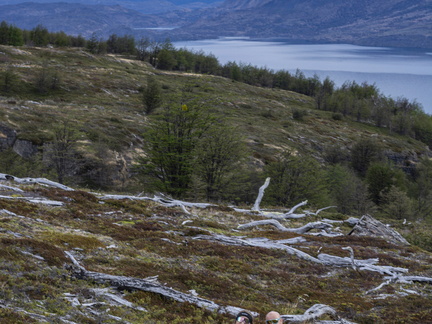 Foto: Patricia Ainol