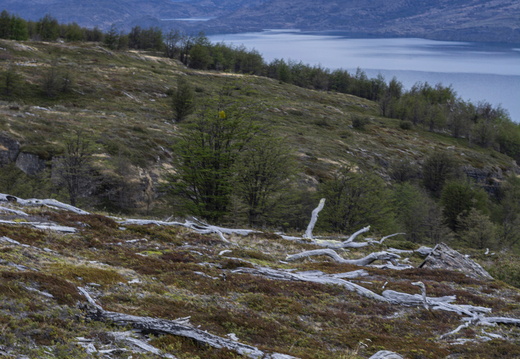 Foto: Patricia Ainol