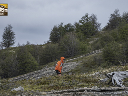 Foto: Patricia Ainol