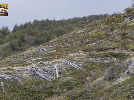 Foto: Patricia Ainol