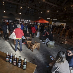 Foto: Alejandro Zoñez