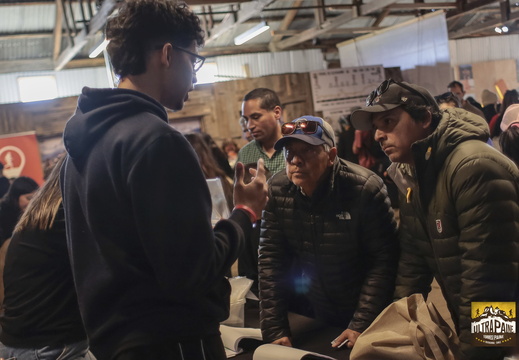 Foto: Alejandro Zoñez