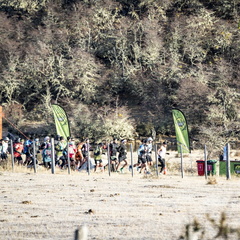 Foto: Christian Miranda