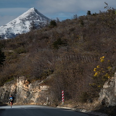 Foto: Walter Alvial