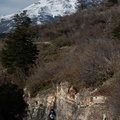 Foto: Walter Alvial